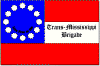 transms_flag_small.gif